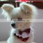 Japanese-style pet scarf cat dog universal saliva towel cat bib Shiba Inu Akita dog scarf bow tie