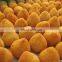 Small Coxinha Forming Machine For Sale
