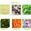 High Efficiency Vegetable Mushroom Slicing Machine/Multifunction Onion Cutting Machine
