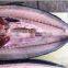 Good quality frozen spanish mackerel fish prices