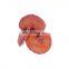 reishi mushroom extract 30% Polysaccharides and Sport powder