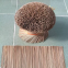 Vietnamese Eco Friendly Big Unscented Jumbo Bamboo Incense Stick