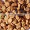 automatic tiger nuts broad bean peeling machine low price