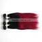 Hot sell Straight wave two colors gradient hair weaving brazilian ombre hair weaving colored two tone hair weave