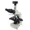 ZX-117M(03) Professional Biological Microscope