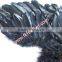 Event Decoration Craft Large Black Angel Wings Goose Feather