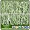 2015 Artificial Football Grass Turf Factory Directly Sales