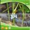 High effective small spring clip plant grafting fruit trees