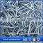 high quality common steel nailsand steel wire nail