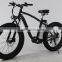 electric bike bicycle Li-poly battery 300W motor chinese electric bike
