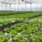Agriculture Farming and Agriculture Equipment for Hydroponics and Drip Irrigation