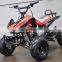 Hot Sell CE Good Quality Automatic 125cc ATV Quad