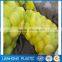 China Factory Direct Sale Durable Cheap Vegetable Fruit Mesh Bag Wholesale