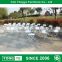 SGS test Cixi Yonge Commercial seating white poly wedding plastic chair