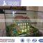 Architectural villa Model situated in environment and salesroom