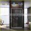 Straight shape new design pivot shower door EX-218A
