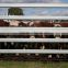 Galvanized horse sheep iron fence,horse fencing,farm fence metal fence