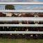 Galvanized horse sheep iron fence,horse fencing,farm fence metal fence