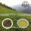 Best Selling First Grade Tiekuanyin Oolong Tea