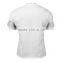 BASIC LOGO TEE Shirt WHITE