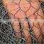 Galvanized/PVC coated Hexagonal Wire Mesh /Livestock Wire Netting