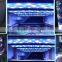 WIFI Programmable Sunise Sunset Aquarium Led Lighting Intelligent Controller 4 Channels Available