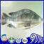 High Quality Seafood Product Red and Black Frozen Tilapia