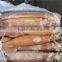Frozen Squid 150-200g