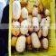 Fresh Lotus root for export