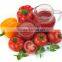 28-30% concentrated canned tomato paste ramo gino tomato paste China factory supplier