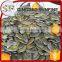 2016 new crop gws planting pumpkin seed in high quality