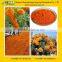 Main Product Marigold Flower Extract Lutein Powder
