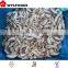 price for iqf mushroom shiitake cutting