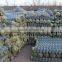 2" Galvanized Chain Link Mesh Fencing ,heavy gauge galvanized wire chain link fence