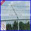 DM pvc coated barb wire fence(factory price)
