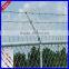 DM pvc coated barb wire fence(factory price)