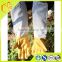bee equipment wholesale beekeeper glvoes yellow leather bee protective gloves high quality beekeeping tools