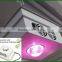 150w full spectrum high par value COB led grow lights aquaponics growing systems