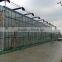 Tempered Glass Greenhouse/Hydroponics Greenhouse/Commercial Greenhouse