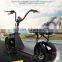 Leadway citycoco gas scooter plastic body parts for wholesale(L16-07a)