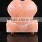 Fancy Salt Lamp/Salt Crafts Pakistan/Natural Salt/Flower Salt Lamps
