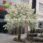 BLS022 GNW 10ft white decorative tree branch for sale artificial cherry blossom tree for wedding decorations