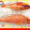 FROZEN W/R RED MULLET