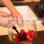 2016 wholesale FDA standard kitchen dadget chopper tool chopstir