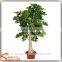 wholesale green artificial money tree make cheap outdoor large money tree