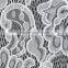 100% Cotton Lace Fabric #B9455