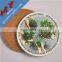 Home decoration souvenirs cup cork coaster wholesale