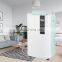 BL-860E portable home dehumidifier