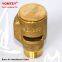 Guangdong Magnesium Special Suction Valve Vacuum Breaker