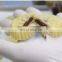 Automatic Maamoul Production Line making machine machine